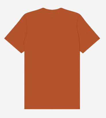 Halloween Spider Web Coquette T-Shirt